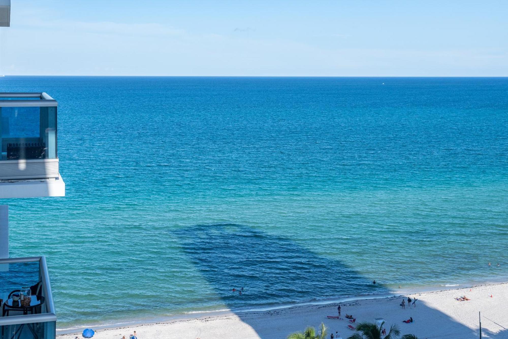 Bluebird Suites Monte Carlo ميامي بيتش الغرفة الصورة